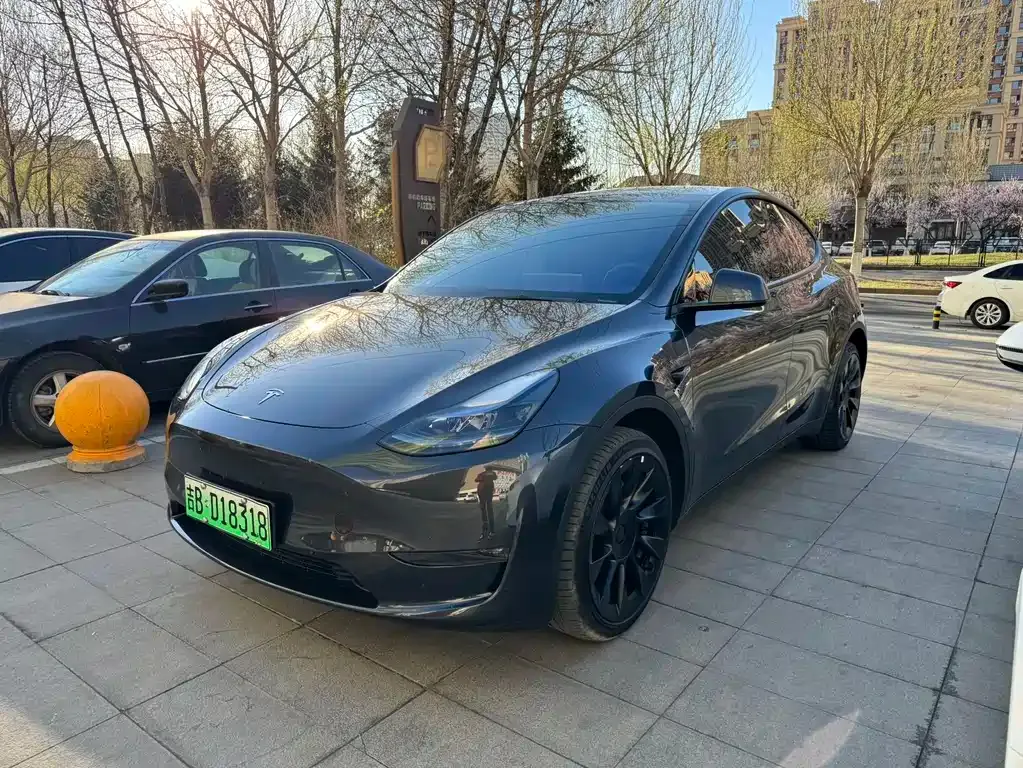 Tesla Model Y — фото 9