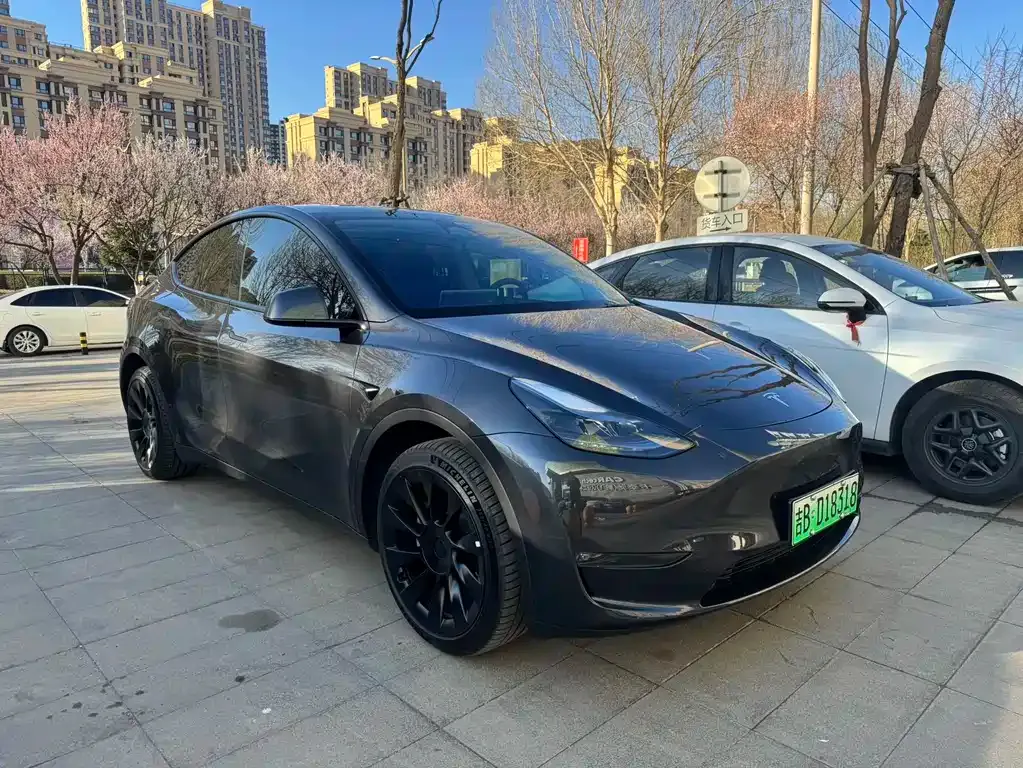 Tesla Model Y — фото 10