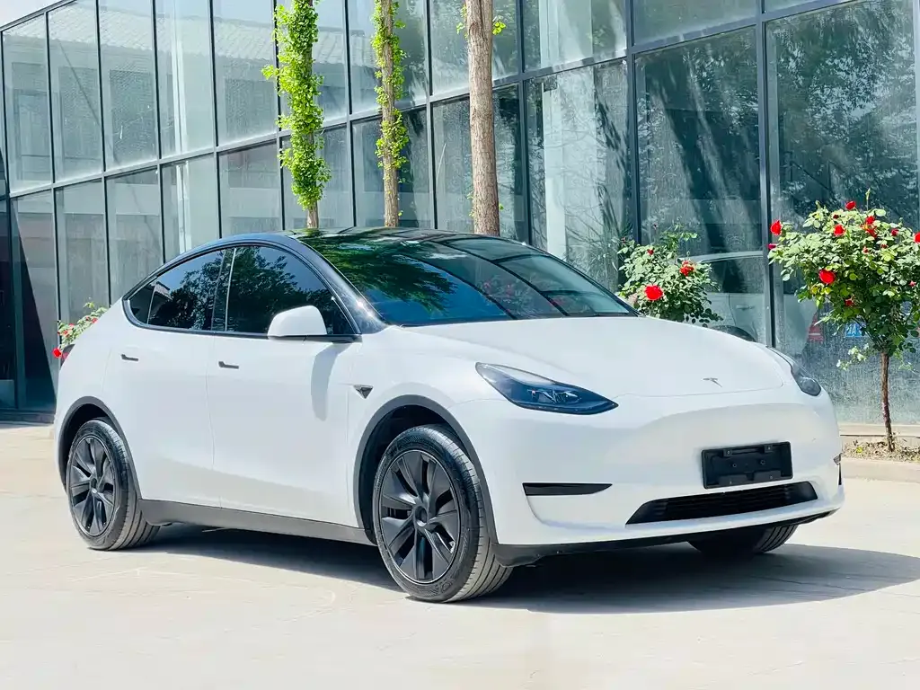 Tesla Model Y — фото 10