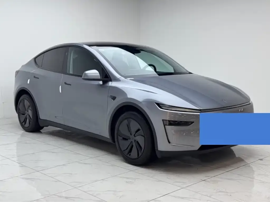 Tesla Model Y 2025 из CN, фото 1