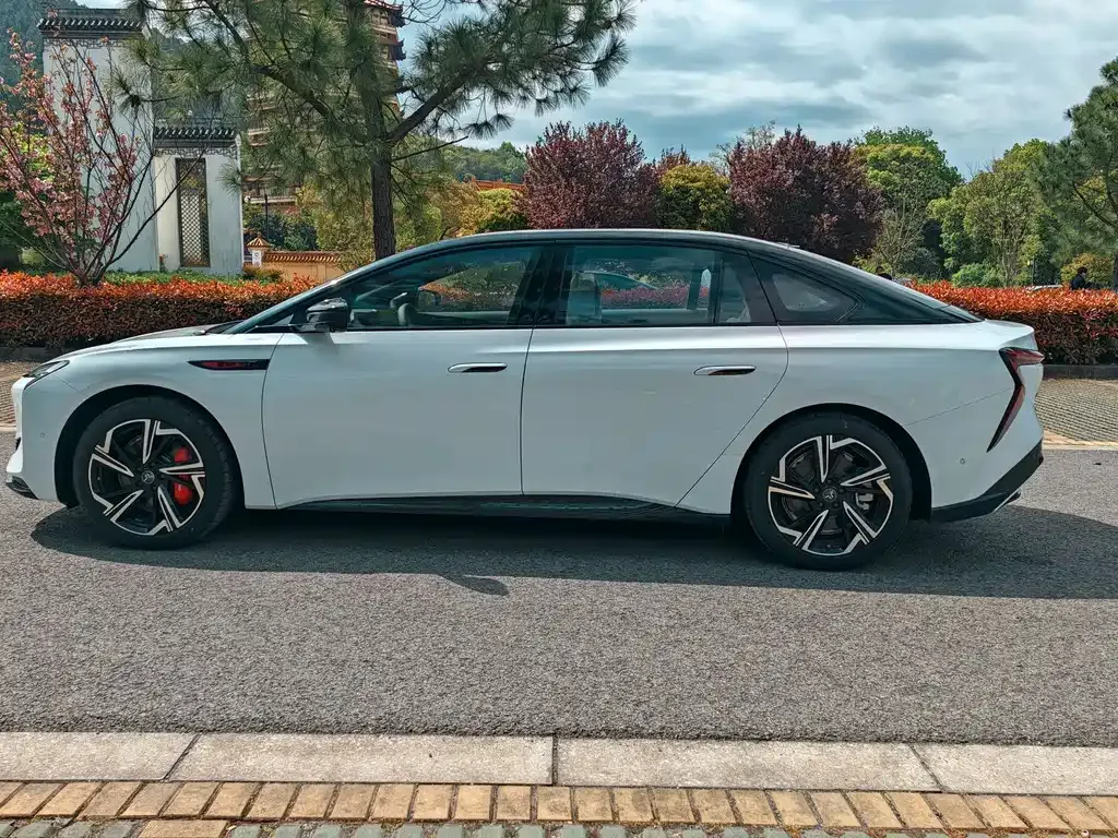 Hongqi EH7 — фото 10