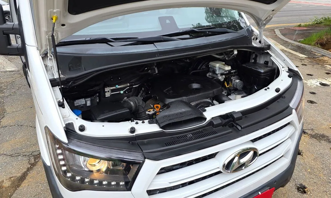 Hyundai Solati 2021 из KR, фото 10