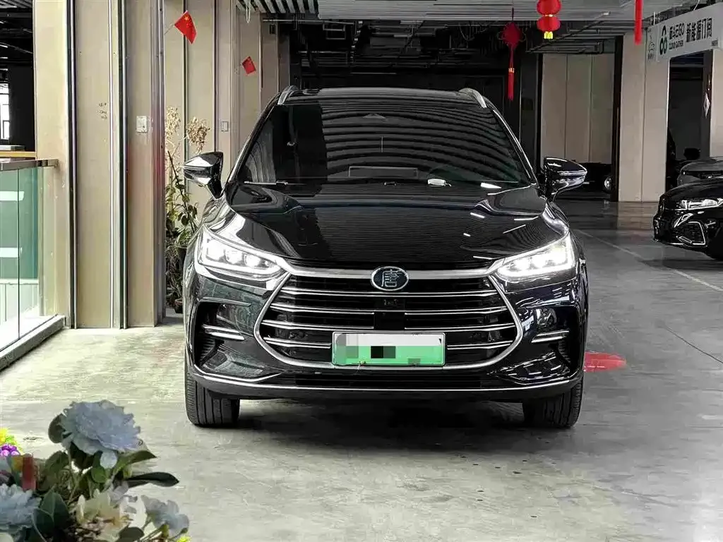 BYD Tang New Energy — фото 5