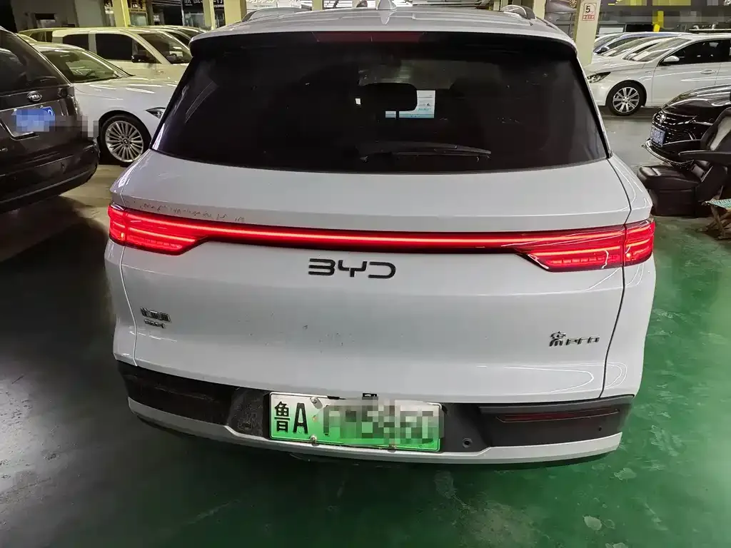 BYD Pro New Energy — фото 5