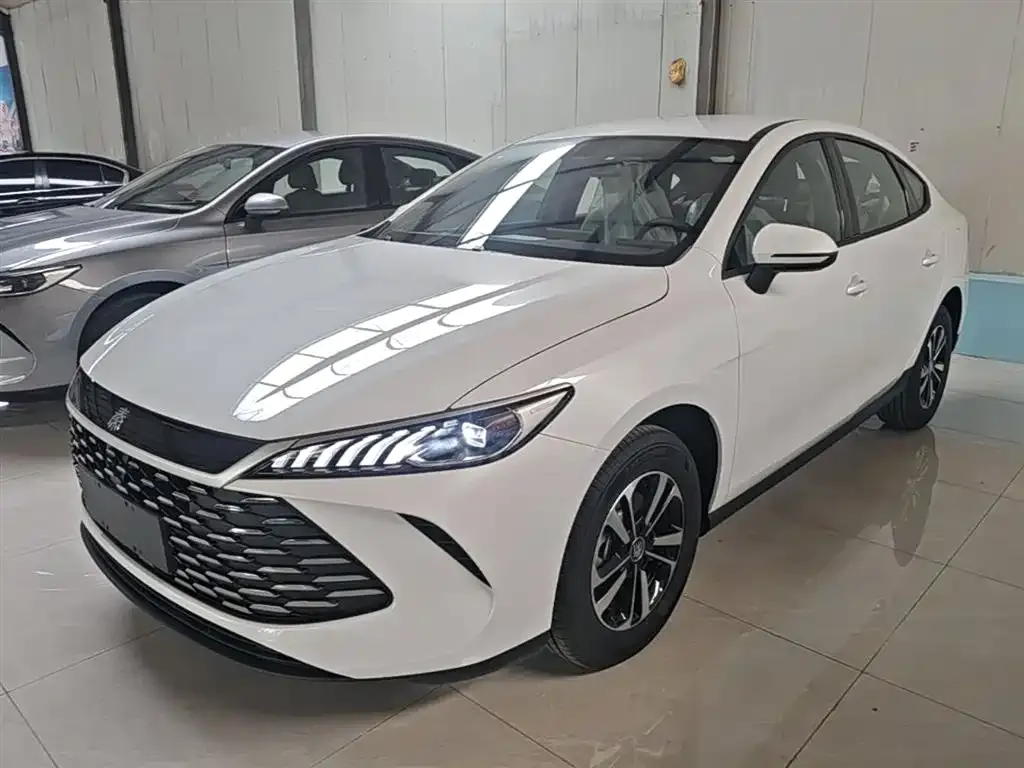 BYD Qin PLUS — фото 10