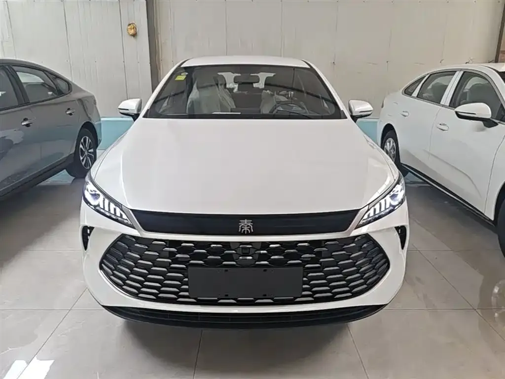 BYD Qin PLUS — фото 2