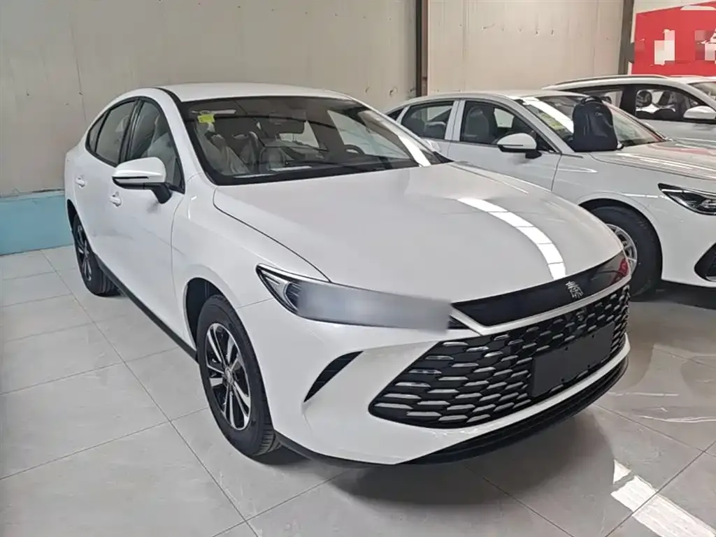BYD Qin PLUS — фото 3