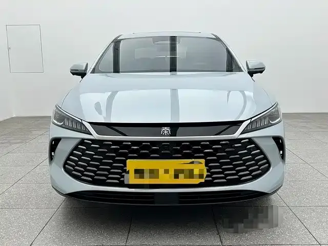 BYD Qin PLUS — фото 3