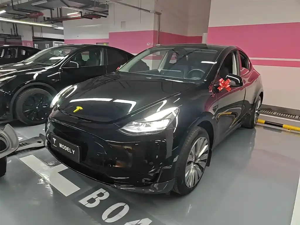Tesla Model Y — фото 6