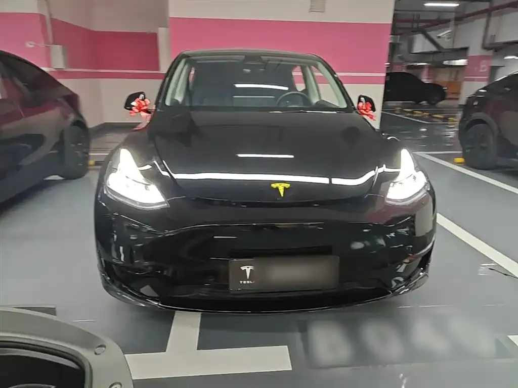 Tesla Model Y — фото 5