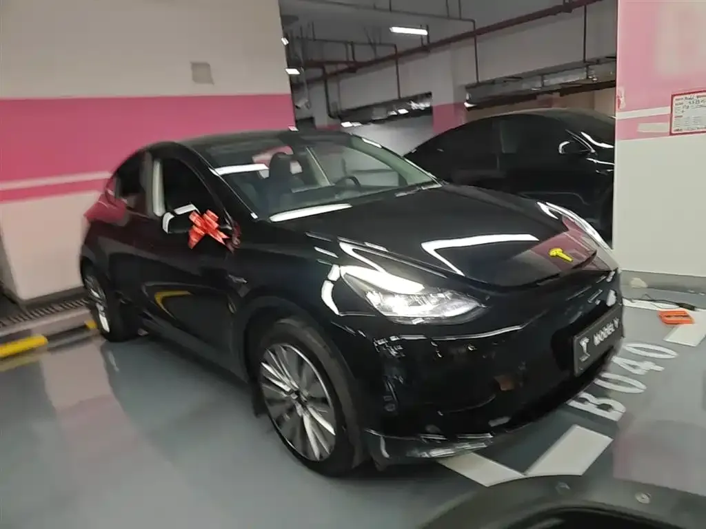 Tesla Model Y — фото 2