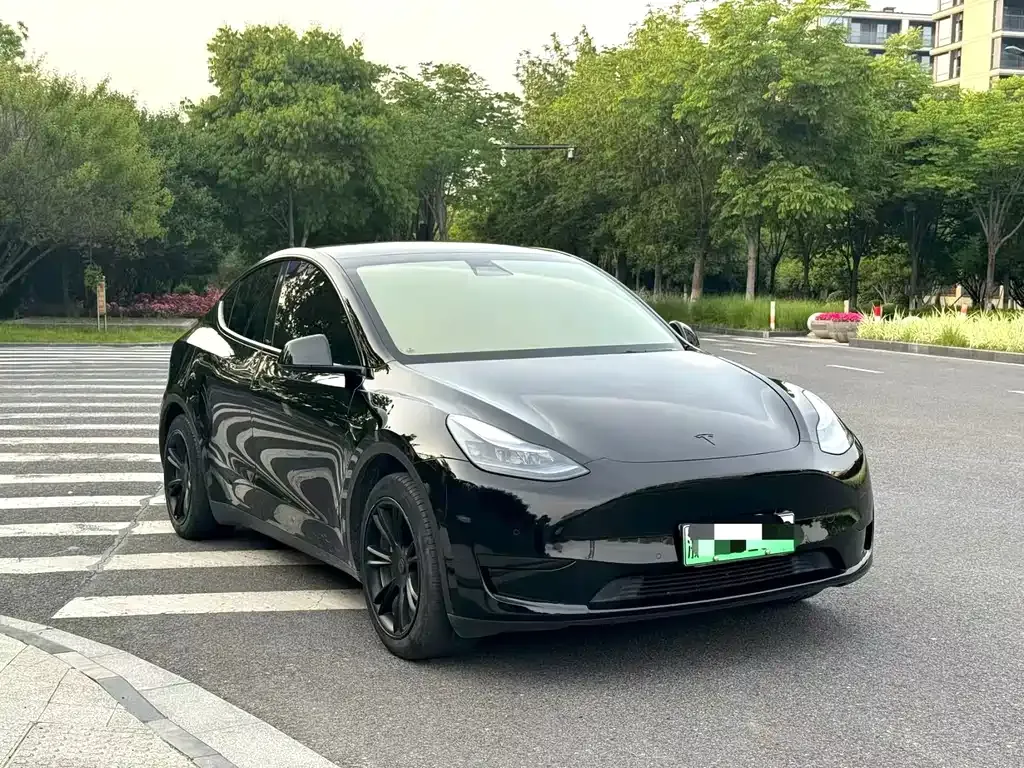 Tesla Model Y 2023 из CN, фото 4