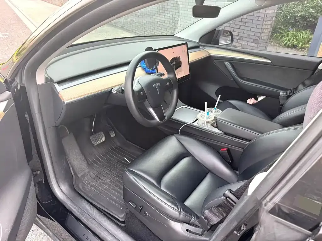 Tesla Model Y 2023 из CN, фото 6