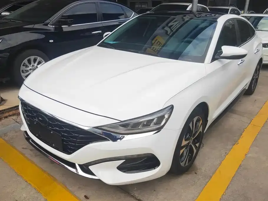 Hyundai Fista — фото 1