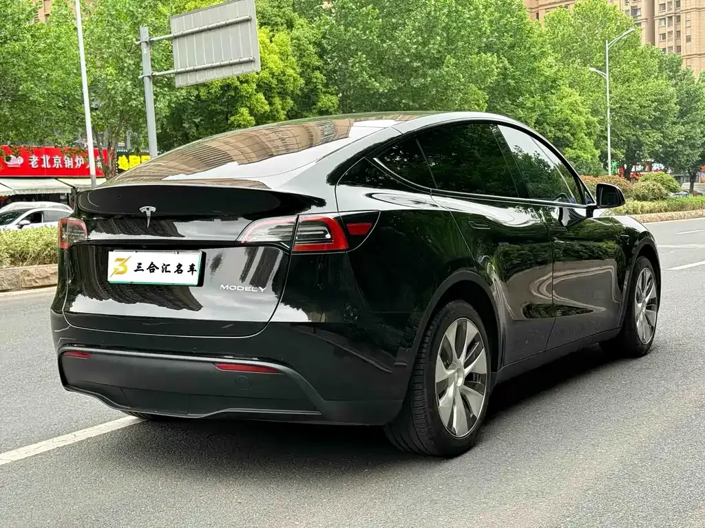 Tesla Model Y — фото 9