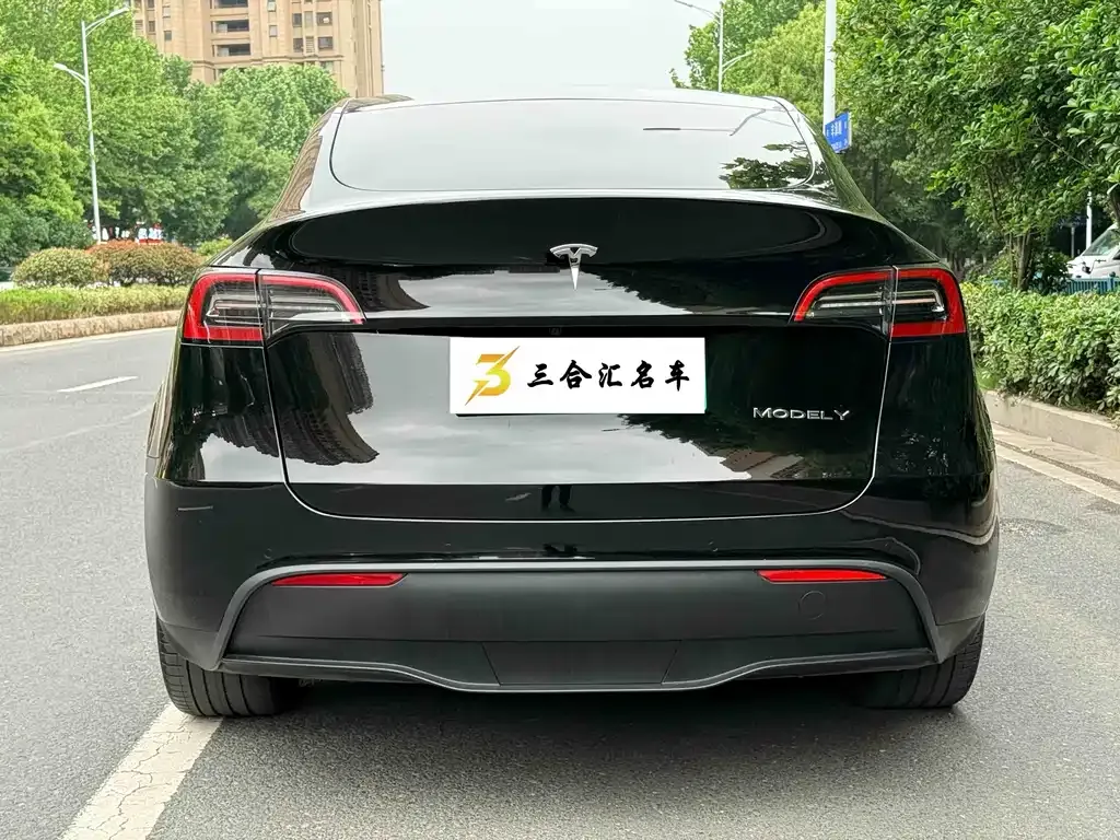 Tesla Model Y — фото 8