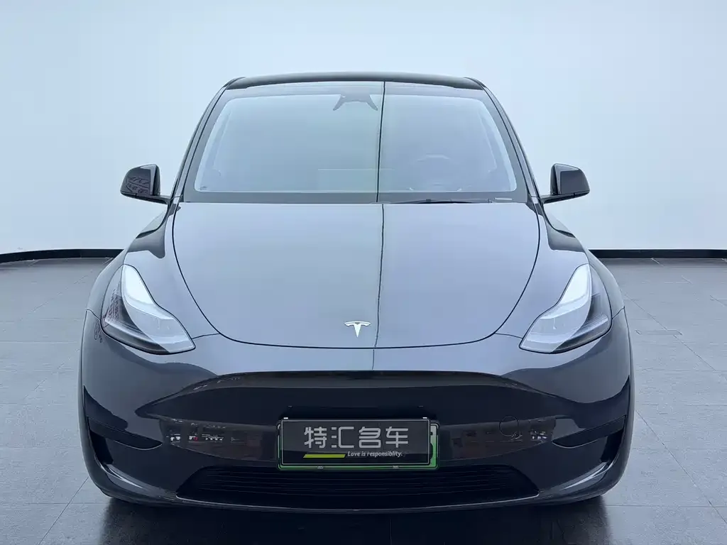 Tesla Model Y — фото 2