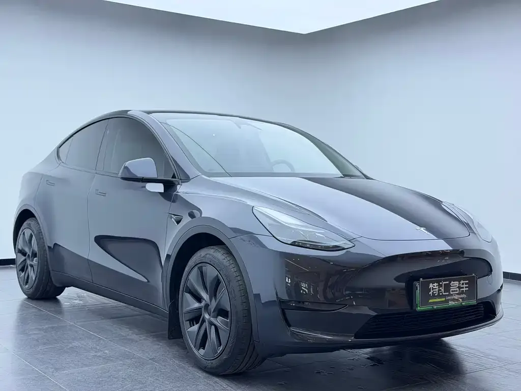 Tesla Model Y — фото 9