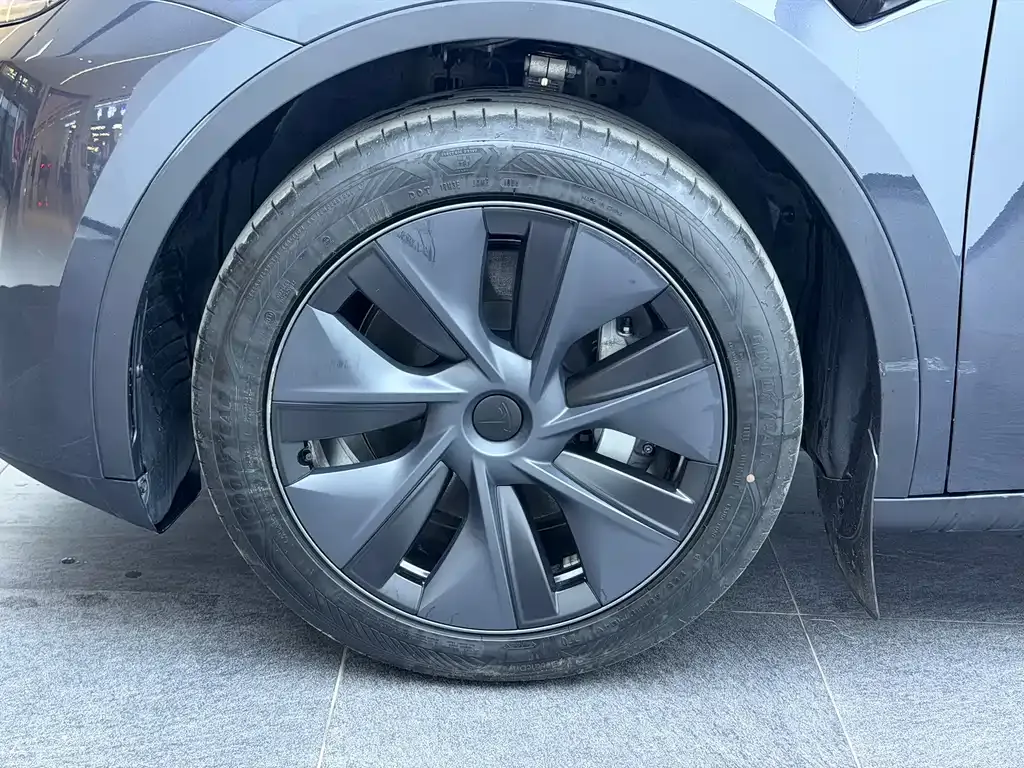 Tesla Model Y — фото 10