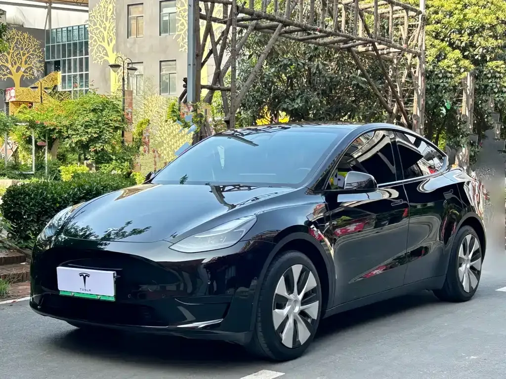 Tesla Model Y — фото 1