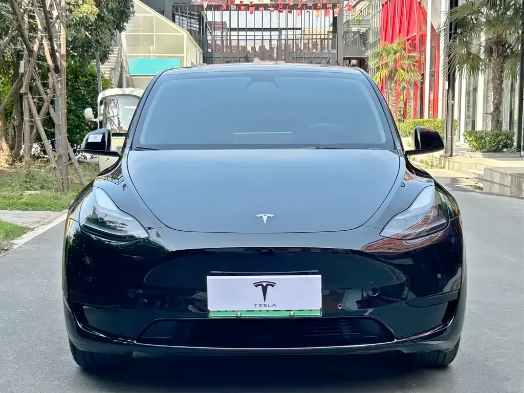 Tesla Model Y — фото 10