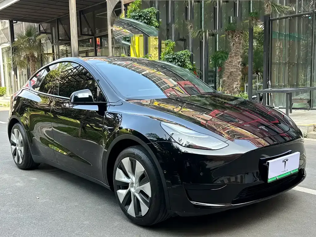 Tesla Model Y — фото 7