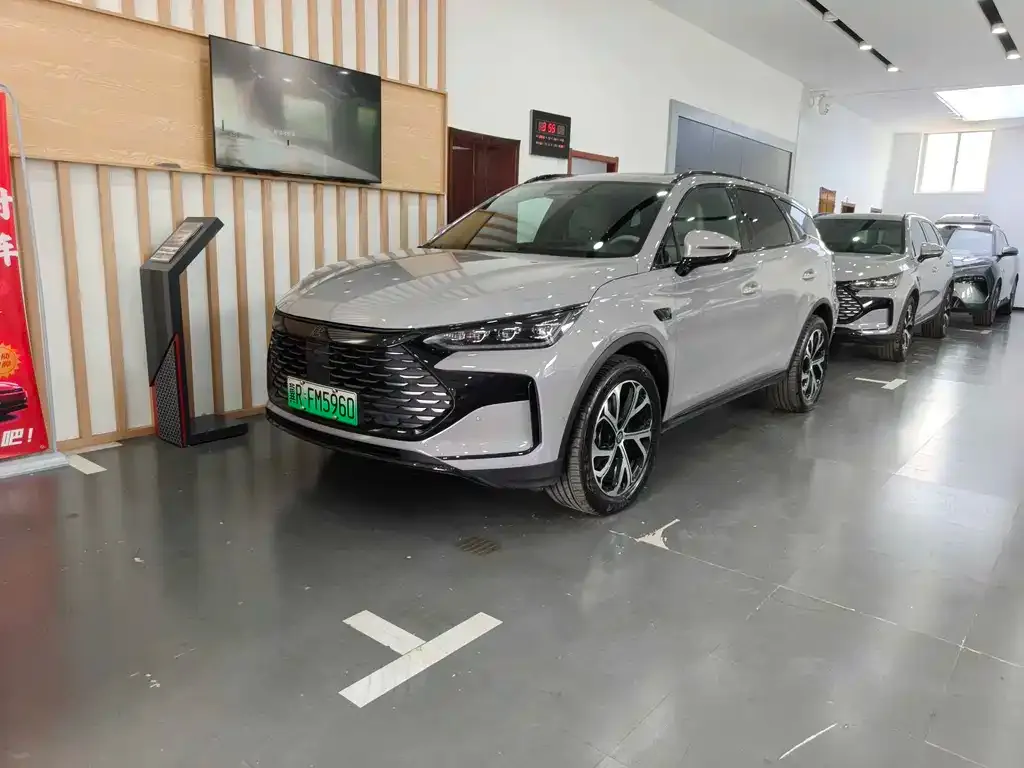 BYD Tang New Energy — фото 1