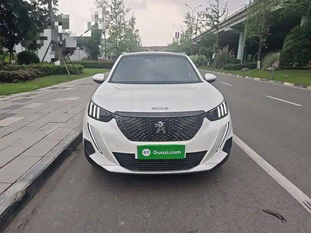 Peugeot 2008 2022 из CN, фото 7