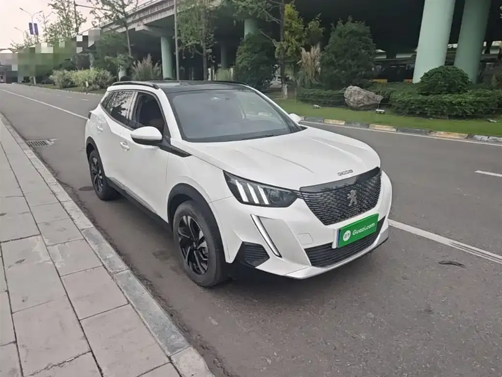 Peugeot 2008 2022 из CN, фото 9