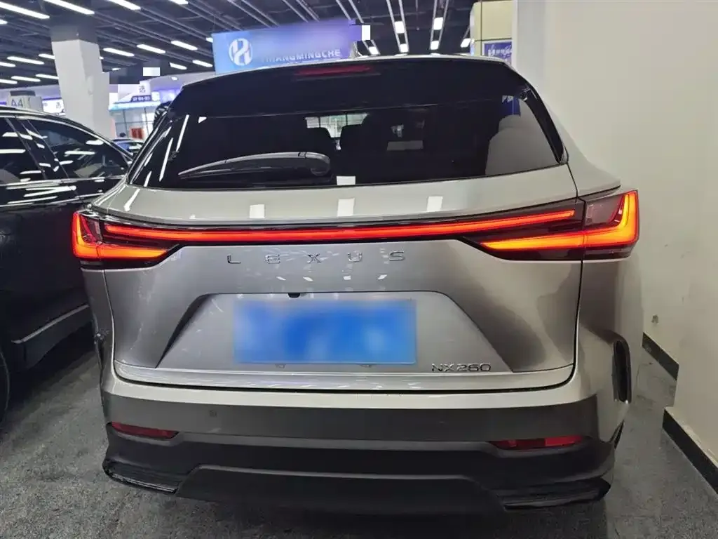 Lexus NX 2022 из CN, фото 5