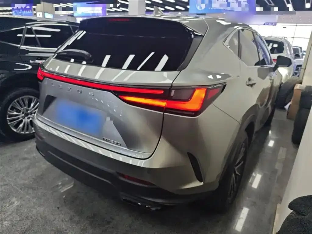 Lexus NX 2022 из CN, фото 8