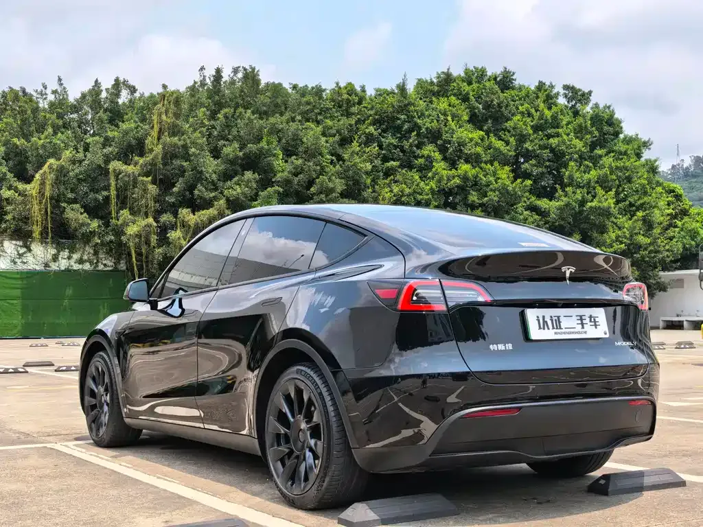 Tesla Model Y — фото 6
