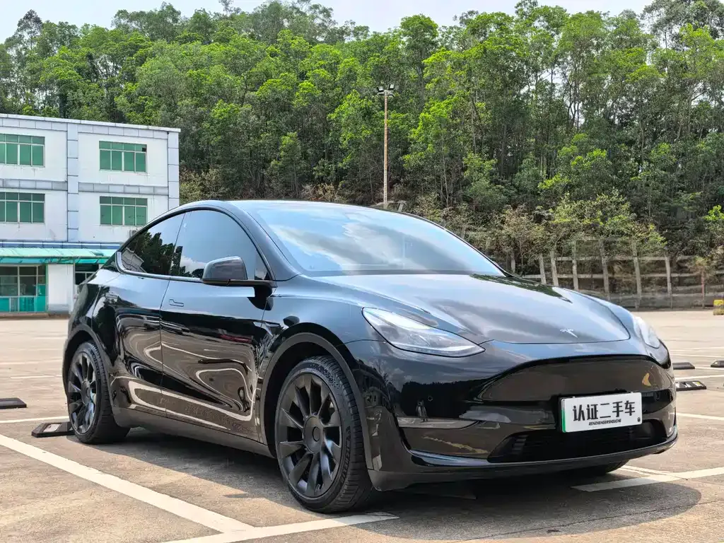 Tesla Model Y — фото 7