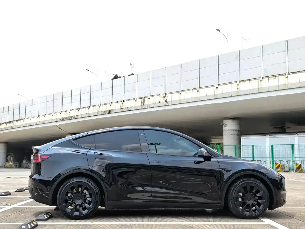 Tesla Model Y — фото 2