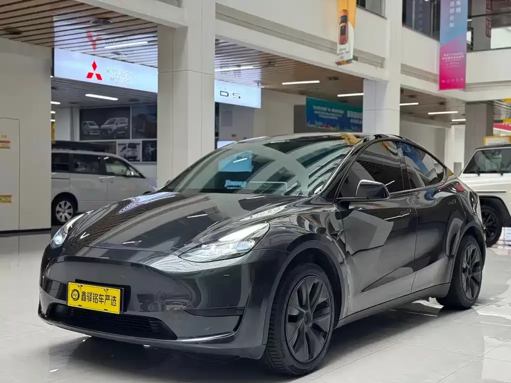 Tesla Model Y — фото 1