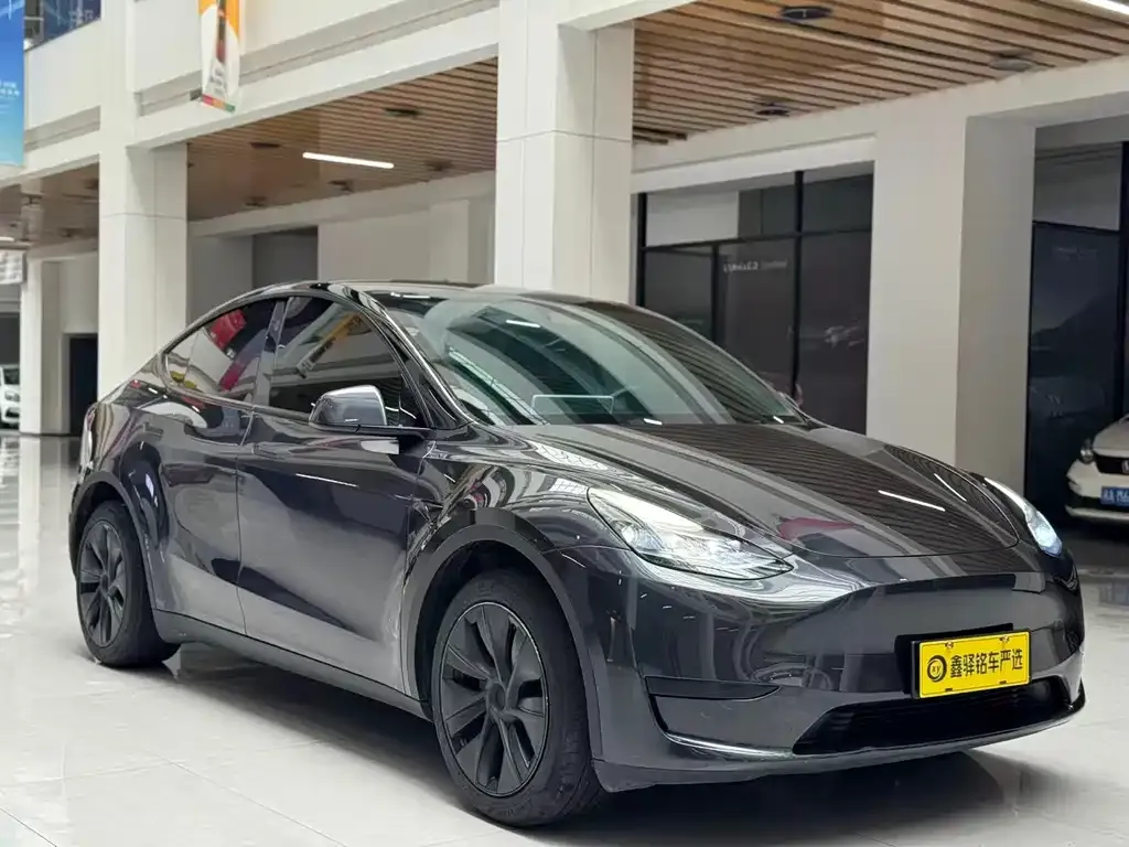 Tesla Model Y — фото 6