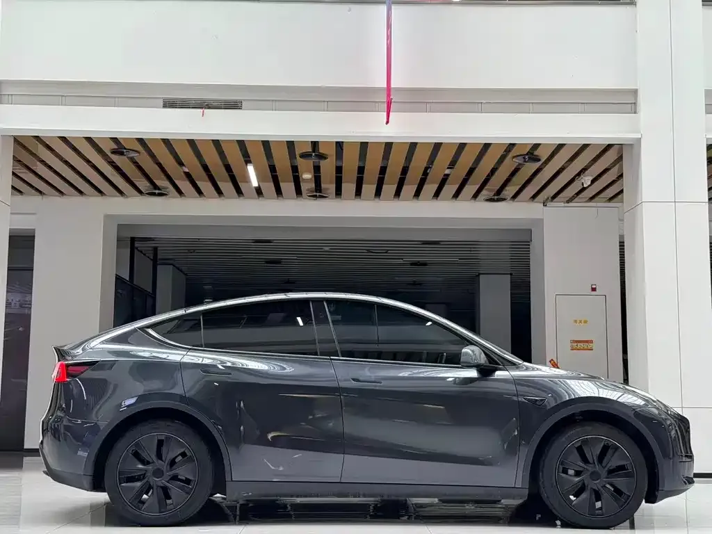 Tesla Model Y — фото 10