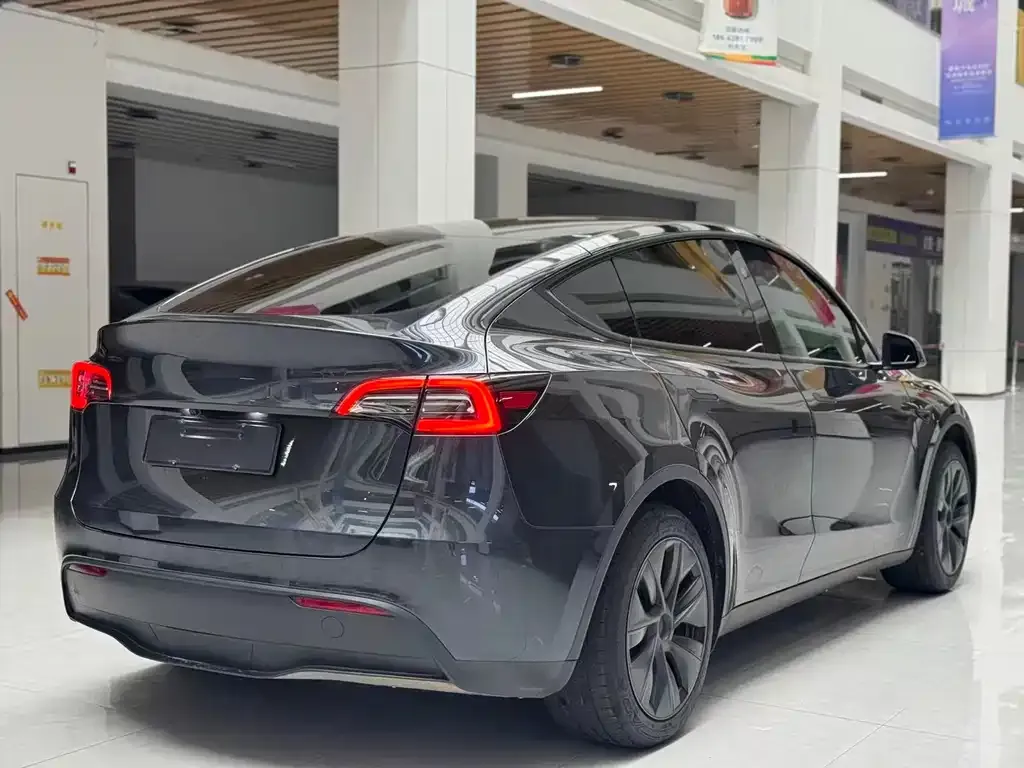 Tesla Model Y — фото 2