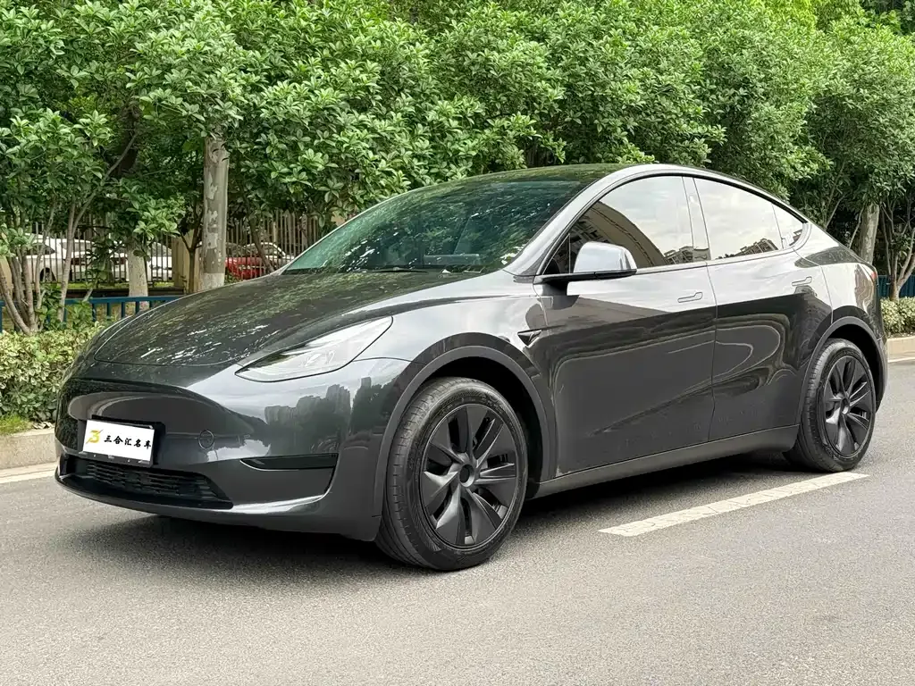 Tesla Model Y — фото 1