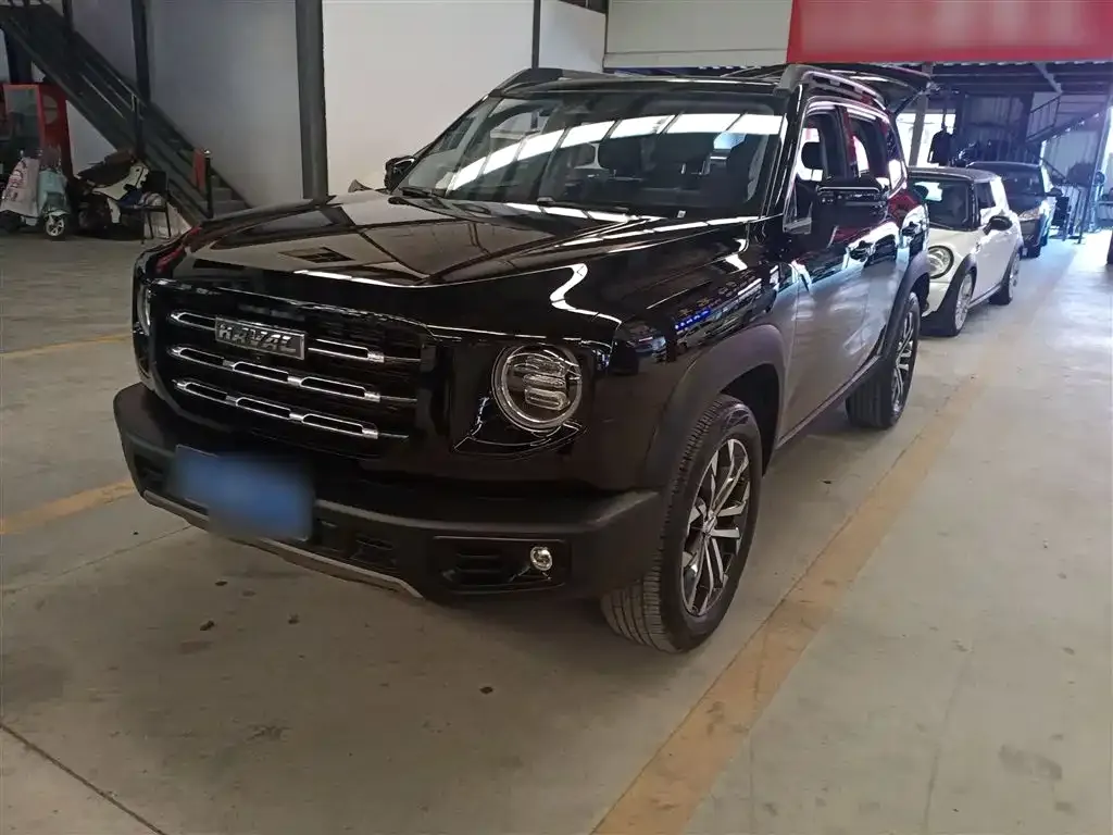 Haval Big Dog