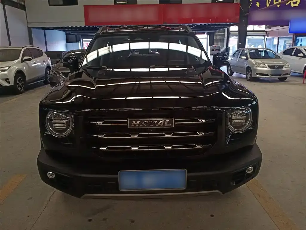 Haval Big Dog 2023 из CN, фото 8