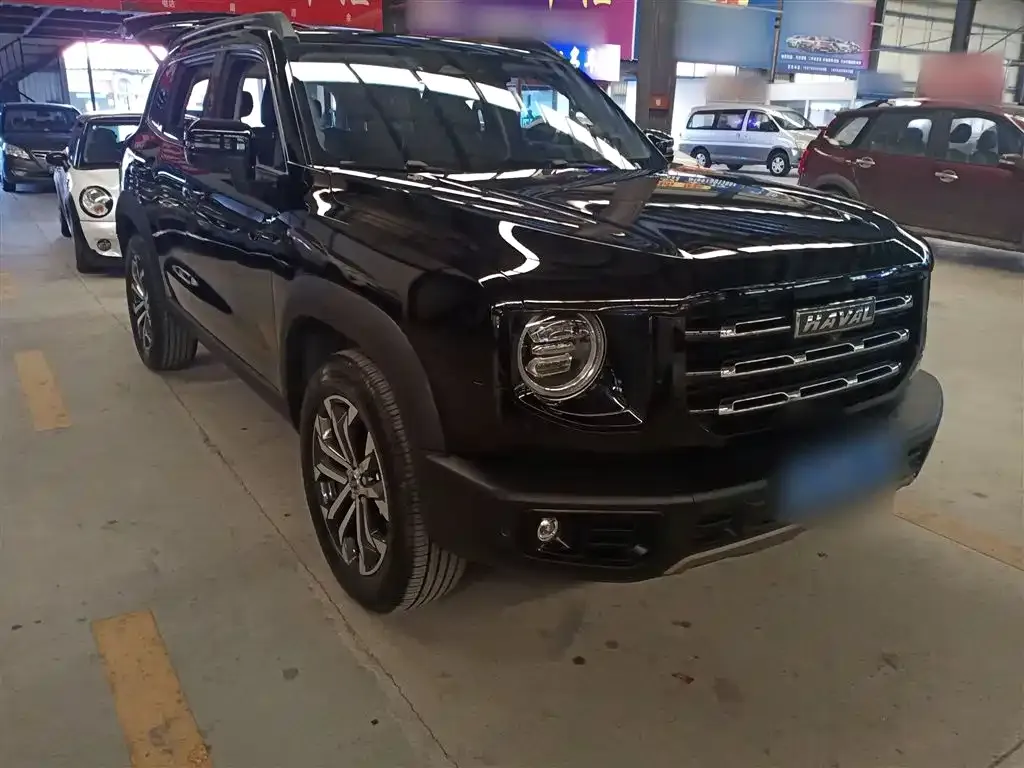 Haval Big Dog 2023 из CN, фото 5