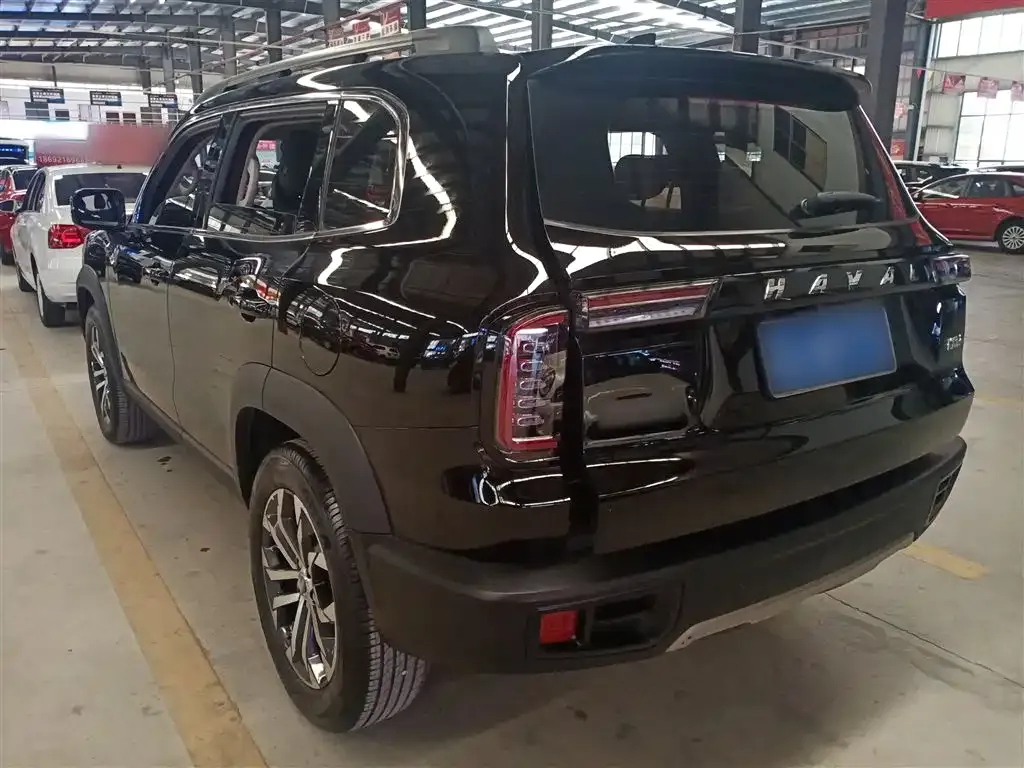 Haval Big Dog 2023 из CN, фото 10