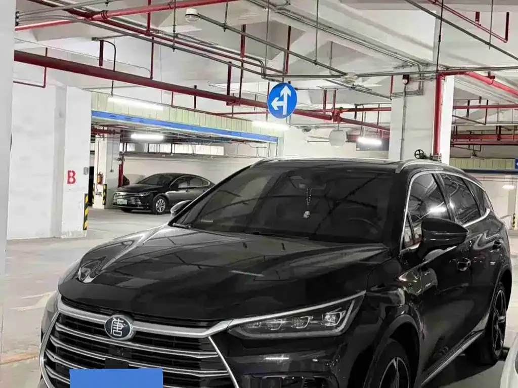 BYD Tang New Energy — фото 1