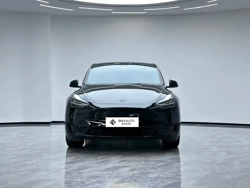 Tesla Model Y — фото 5