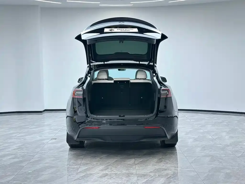Tesla Model Y — фото 6