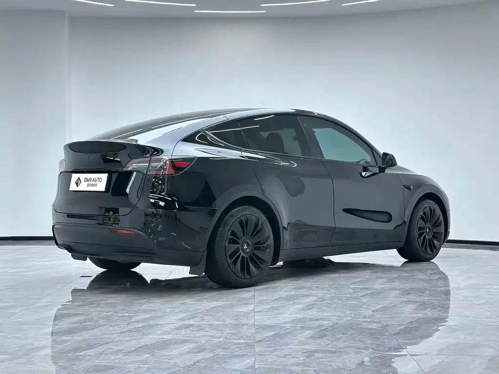 Tesla Model Y — фото 8
