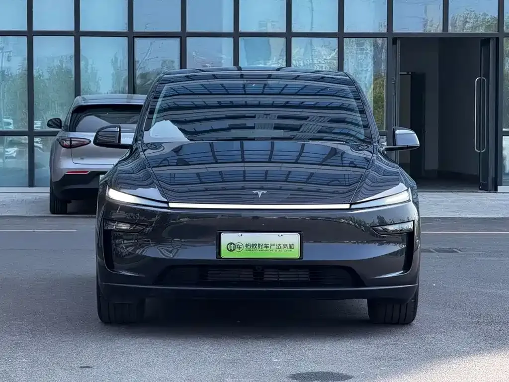 Tesla Model Y — фото 5