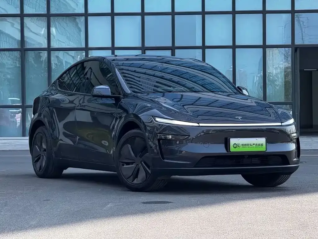 Tesla Model Y — фото 3