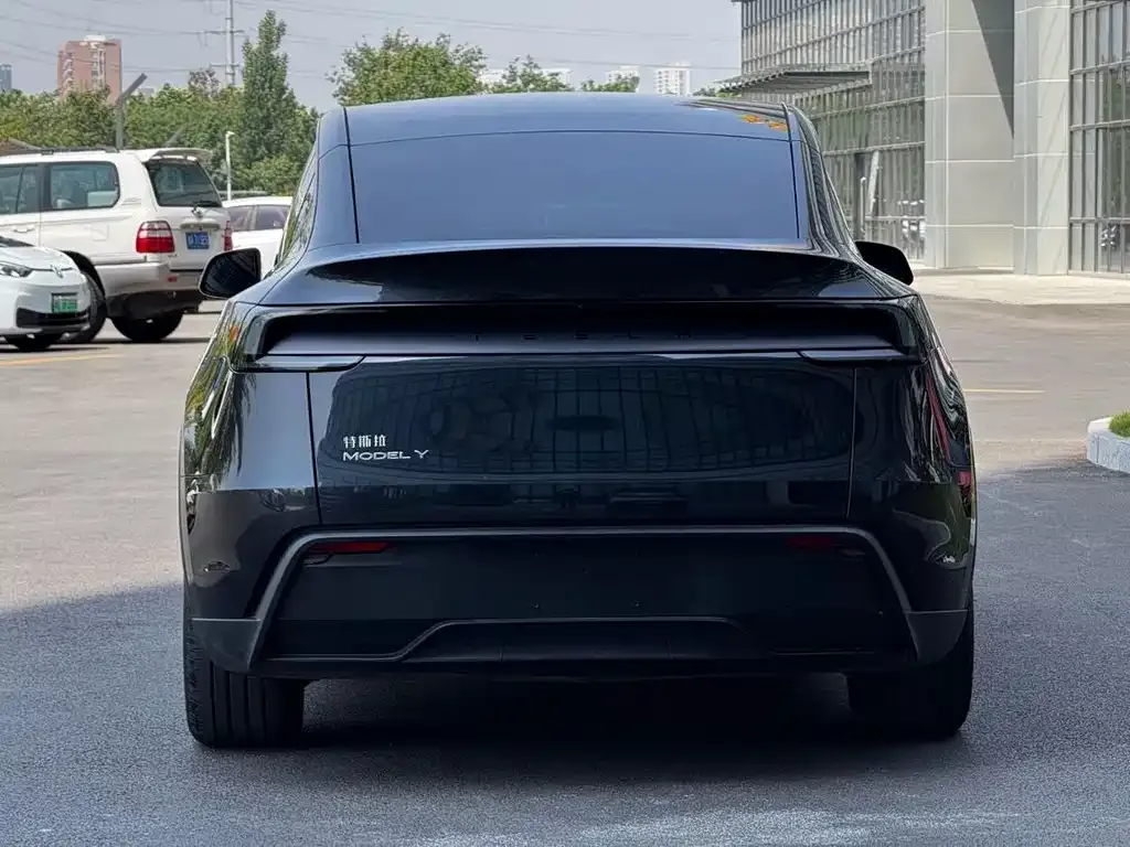 Tesla Model Y — фото 6